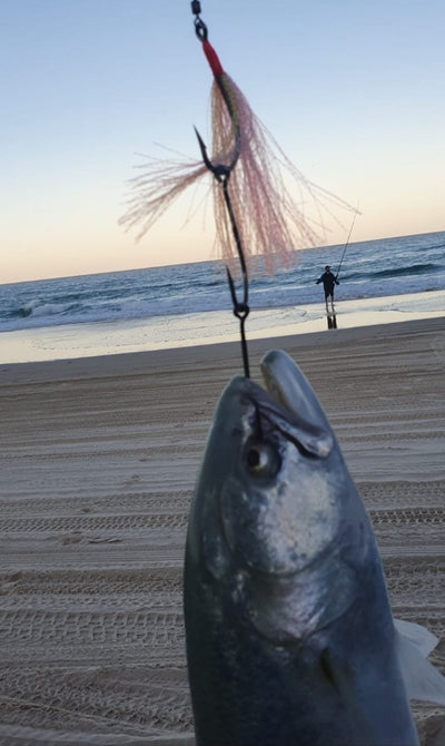 Hooks & Rigs