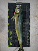 FILLET MATe - Non Slip Fish Filleting Mat