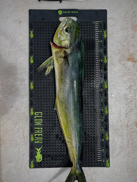 FILLET MATe - Non Slip Fish Filleting Mat