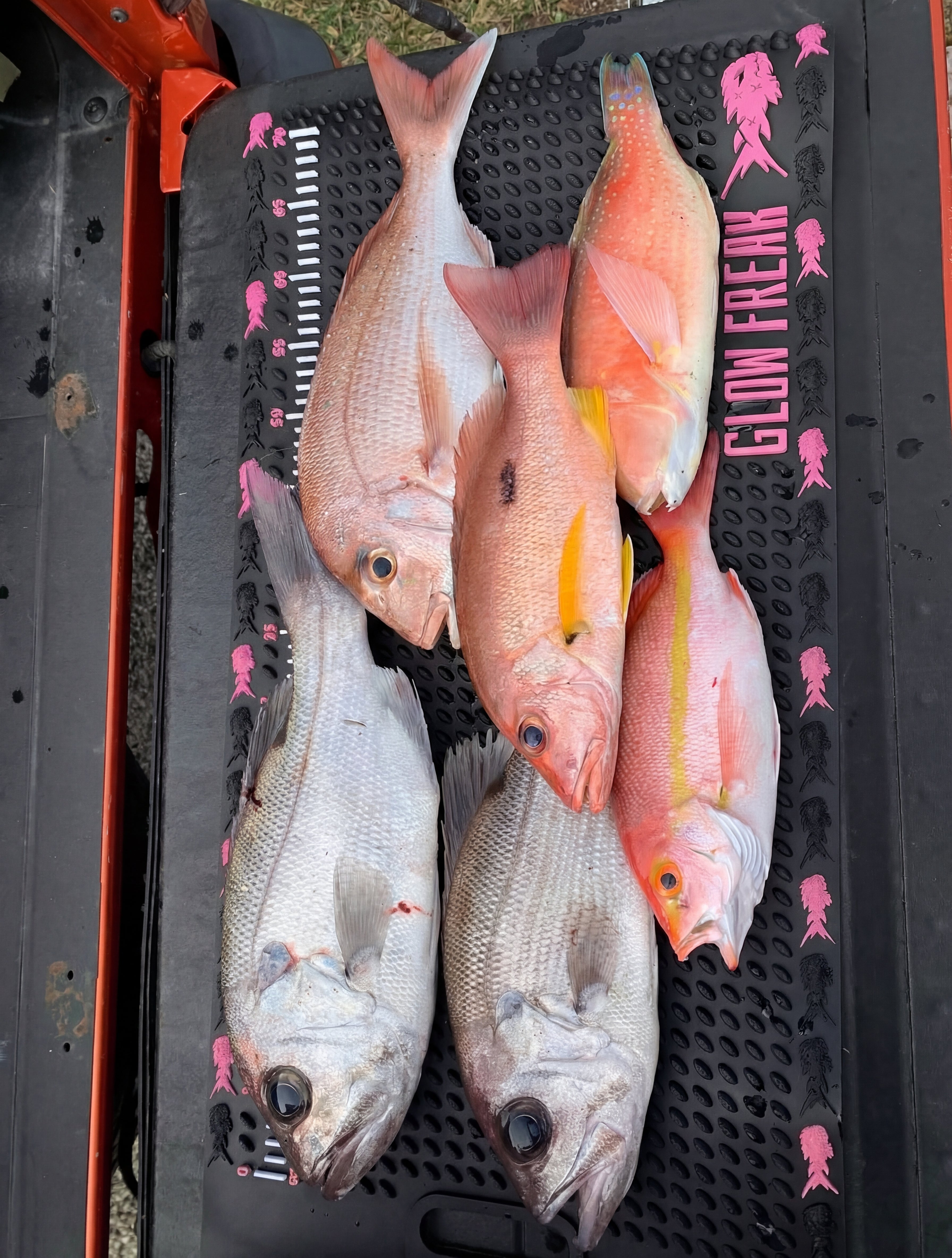 FILLET MATe | Pink Edition -  Non Slip Fish Filleting Mat